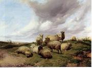 unknow artist Sheep 146 oil painting reproduction